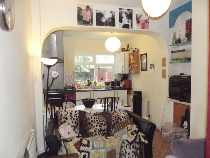 Park Range - Image 5