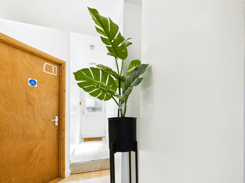 21 Waterloo Place Brynmill Swansea SA2 0DE - Image 5