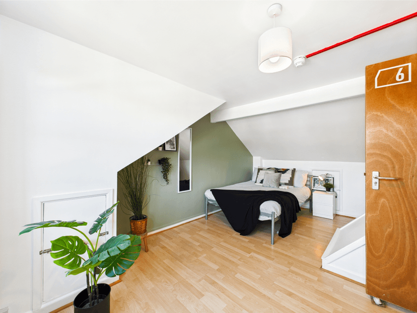 21 Waterloo Place Brynmill Swansea SA2 0DE - Image 12