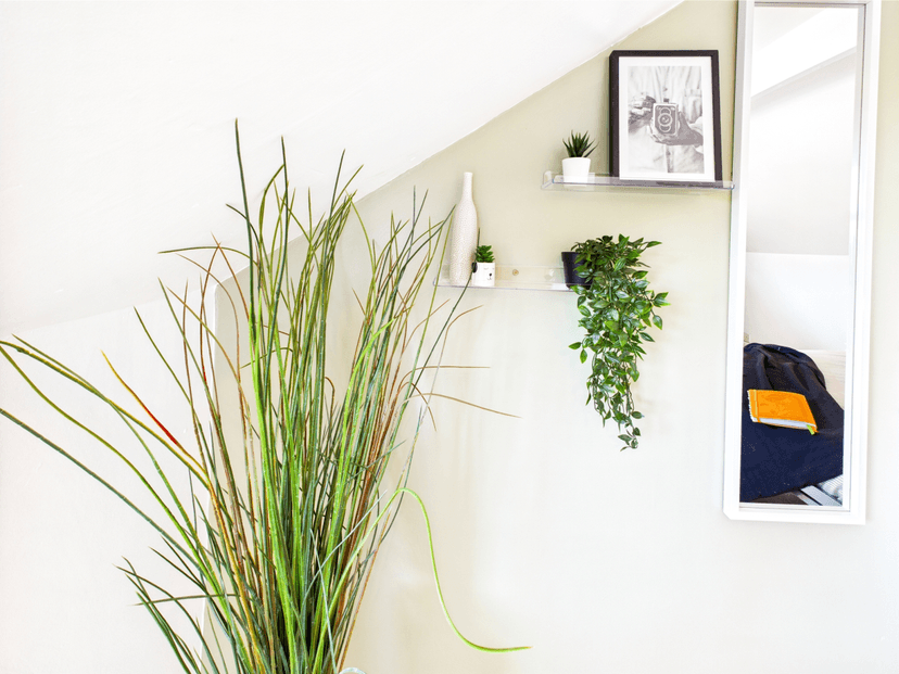 21 Waterloo Place Brynmill Swansea SA2 0DE - Image 15