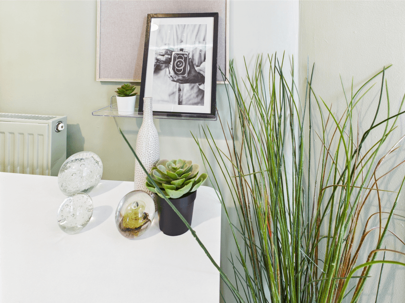 21 Waterloo Place Brynmill Swansea SA2 0DE - Image 34