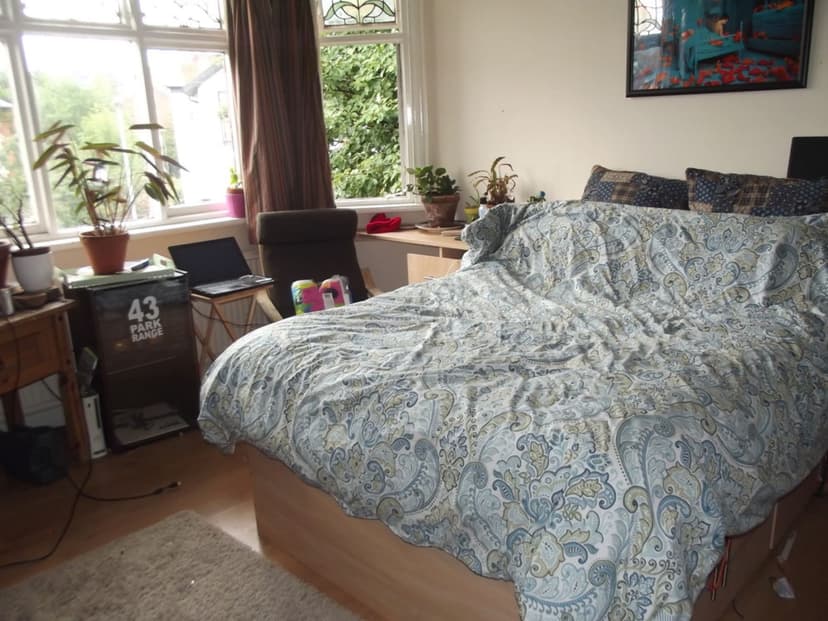 Park Range - Image 7