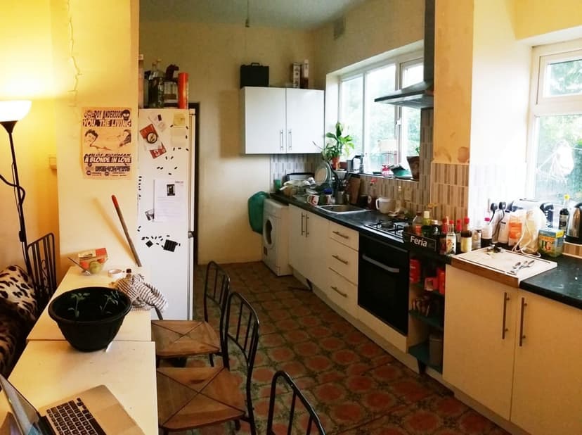 Park Range - Image 2